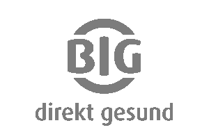 BIG-Direkt-logo